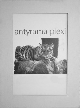 Antyrama Raw-West plexi 600mm x 800mm