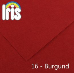 Brystol Canson Iris 16 B1 burgundowy 240g 25k 700mm x 1000mm (200040455)