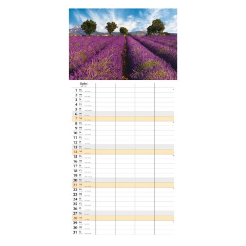 Kalendarz ścienny planer miesięczny 290x419mm 12-planszowe 2024 290mm x 419mm Michalczyk i Prokop (T-108S-2)