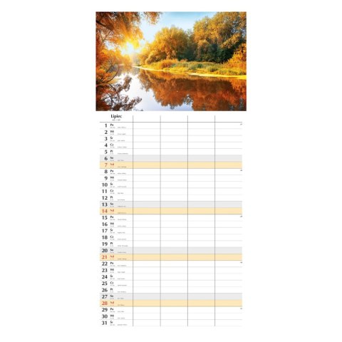 Kalendarz ścienny planer miesięczny 290x419mm 12-planszowe 2024 290mm x 419mm Michalczyk i Prokop (T-108S-4)