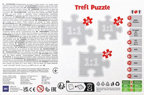 Puzzle Psi Patrol Przygody Bohaterów Miasta 60 el. Trefl (17385)