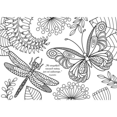 Kolorowanka Złote marzenia metalizowana 5902277306227 Interdruk