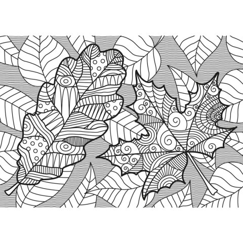 Kolorowanka Złote marzenia metalizowana 5902277306227 Interdruk