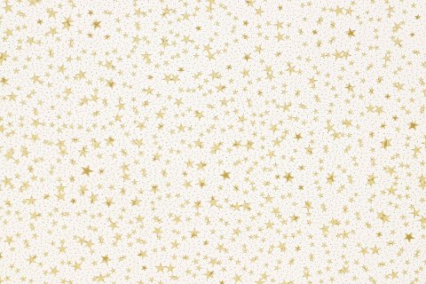 Torba prezentowa torebka BN folia [mm:] 400x500 (S13)