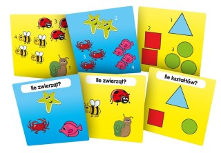 Gra edukacyjna BrainBox poznaję lidzby Rebel (5902650616721)