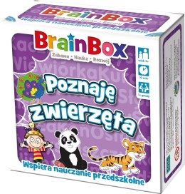 Gra edukacyjna Rebel BrainBox poznaję zwierzęta (5902650616684)