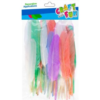 Piórka mix 50 szt Craft With Fun (501478)
