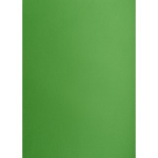 Brystol ZIELONY B2 Zielony 225g 25k Creatinio (400150338)