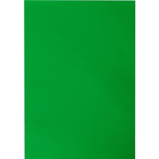 Filc Craft-Fun Series A4 kolor: zielony ciemny 10 ark. [mm:] 210x297 Titanum (345154)