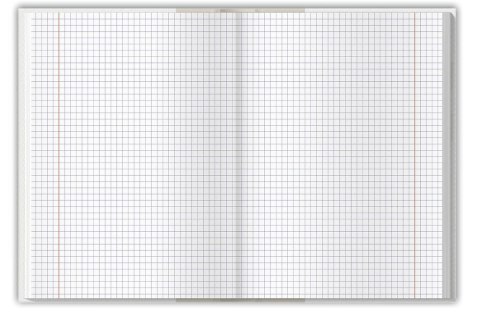 Brulion colors niebieski B5 160k. 70g krata TOP-2000 (400169208)