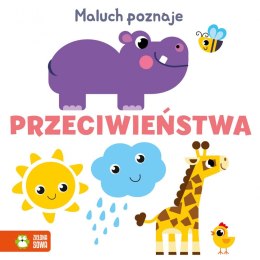 Książeczka edukacyjna Angielskie słówka Maluch poznaje. Zielona Sowa