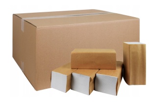 Ręcznik Celuloza Z-Z 1w biały 4000 listków