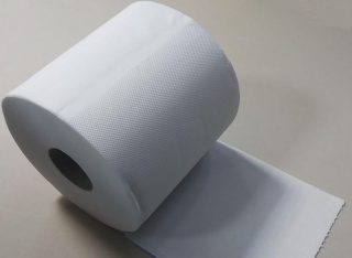 Ręcznik celuloza 2w 100m MAXI-500 6 rolek