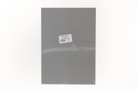 Brystol A3 SZARY 160g 20k Protos