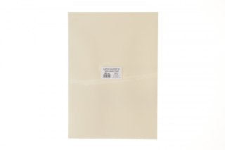 Brystol A3 kremowy 160g 20k Protos