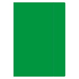Teczka kartonowa na gumkę A4+ zielona 450g Interdruk