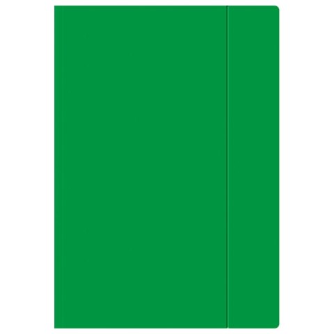 Teczka kartonowa na gumkę A4+ zielona 450g Interdruk