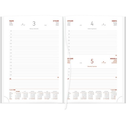 Kalendarz książkowy (terminarz) 5905031847059 VIVELLA B5 dzienny B5 Wokół Nas (B5DB ganatowy)