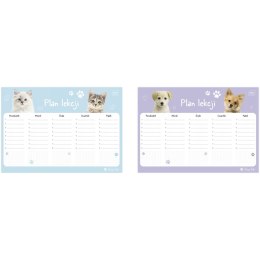 Plan lekcji PUPPY SIGN A4 5902277348531 Interdruk