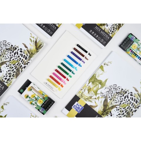 Pastele olejne Artistic 12 kol. Oxford (400184262)