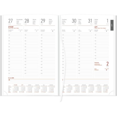 Kalendarz książkowy (terminarz) 5905031846403 VIVELLA A4 tygodniowy A4 Wokół Nas (A4TB szary)