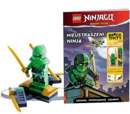 Książeczka edukacyjna Ameet LEGO® NINJAGO®. Nieustraszeni NINJA LNC 6728 P1