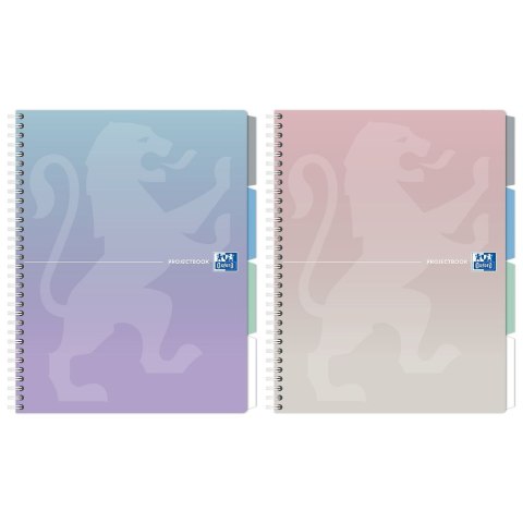 Notes (notatnik) pastel A4 80k. krata Oxford (400182938)