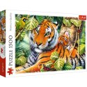 Puzzle Trefl Dwa tygrysy 1500 el. (26159)