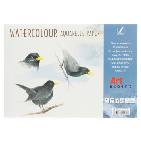 Blok artystyczny akwarelowy A4 300g 10k Kreska