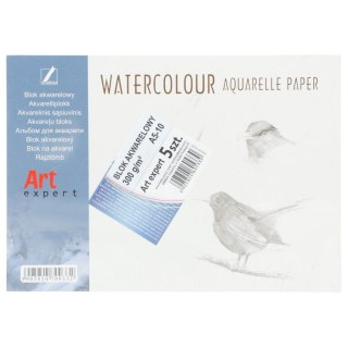 Blok artystyczny akwarelowy A5 300g 10k Kreska
