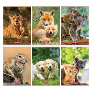 Zeszyt Animals 9583071 A5 32k. 70g linia Herlitz (400197969)