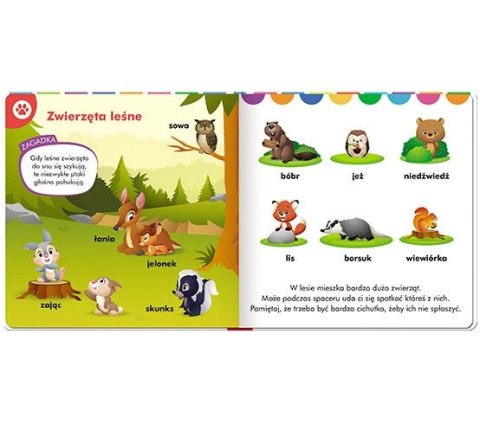 Książeczka edukacyjna Disney Maluch. Elementarz zwierząt Ameet (HOPE 9201)