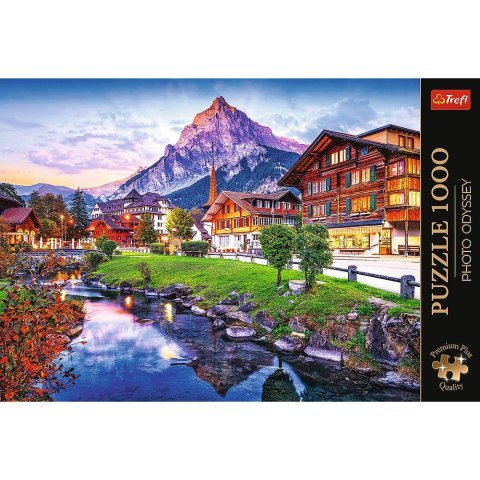 Puzzle Premium Plus Alpejskie miasteczko 1000 el. Trefl (10854)
