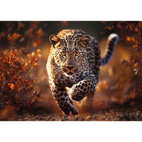 Puzzle Premium Plus Dziki Leopard 1000 el. Trefl (10818)