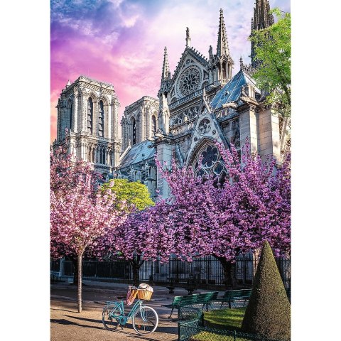 Puzzle Premium Plus Katedra Notre-Dame 1000 el. Trefl (10858)