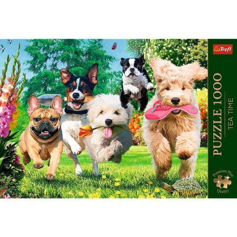 Puzzle Premium Plus Nadchodzą kłopoty 1000 el. Trefl (10800)