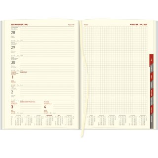 Kalendarz książkowy (terminarz) 5905031846694 Cross A4 tygodniowy z gumką A4 Wokół Nas (A4TRK z notesem granatowy)