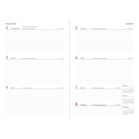 Kalendarz nauczyciela książkowy (terminarz) B5TN060B- 2024/2025 B5 PCV bezbarwny B5 Wydawnictwo Wokół Nas (modern)