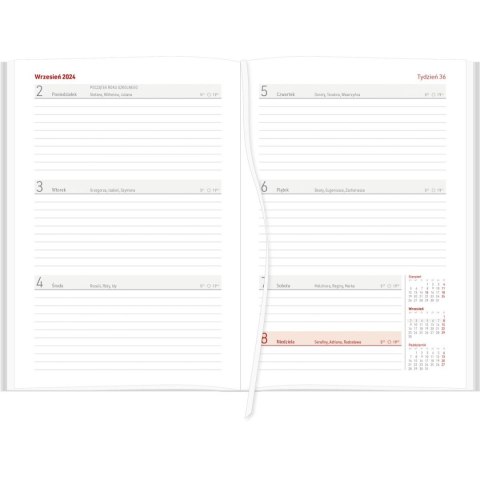 Kalendarz nauczyciela książkowy (terminarz) NEBRASKA granatowy 2024/2025 A5 tygodniowy A5 Wydawnictwo Wokół Nas (A5TN070B-)