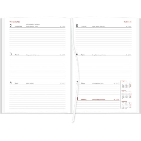 Kalendarz nauczyciela książkowy (terminarz) VIVELLA 2024/2025 B5 tygodniowy B5 Wydawnictwo Wokół Nas (B5TN066B-granat)
