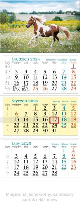 Kalendarz ścienny 5904844533838 Trójdzielny 2025 KONIK 320mm x 860mm Lucrum (KT13)