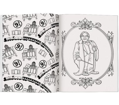 Książka dla dzieci Wizarding World. Magiczna kolorowanka Ameet (FCB 5101)