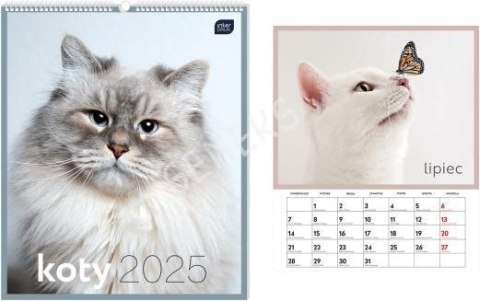 Kalendarz ścienny 5902277358370 KOTY PLANSZOWY 335mm x 400mm Interdruk (33,5X40CM)