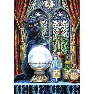 Puzzle Magic Collection Premium Plus Uczeń czarownicy 1000 el. Trefl (10898)