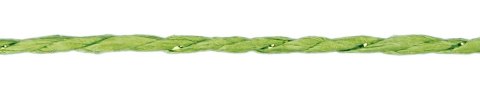 Sznurek Craft-Fun Series papierowy 10m Titanum (24BR0201-15（green))