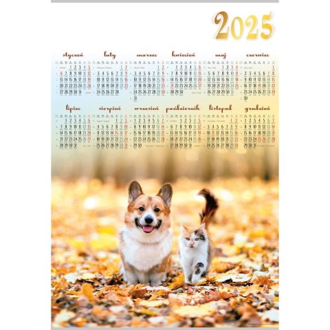 Kalendarz ścienny PRZYJACIELE plakatowy 607mm x 880mm Lucrum (PL11)