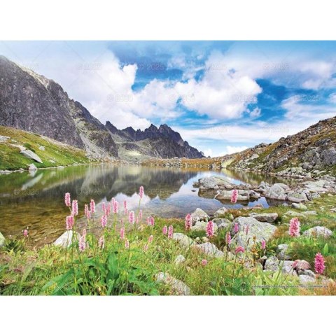 Kalendarz ścienny PEJZAŻE TATRZAŃSKIE WIELOPLANSZOWY 12K 320mm x 470mm Lucrum (RW3)