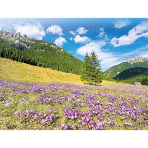 Kalendarz ścienny PEJZAŻE TATRZAŃSKIE WIELOPLANSZOWY 12K 320mm x 470mm Lucrum (RW3)