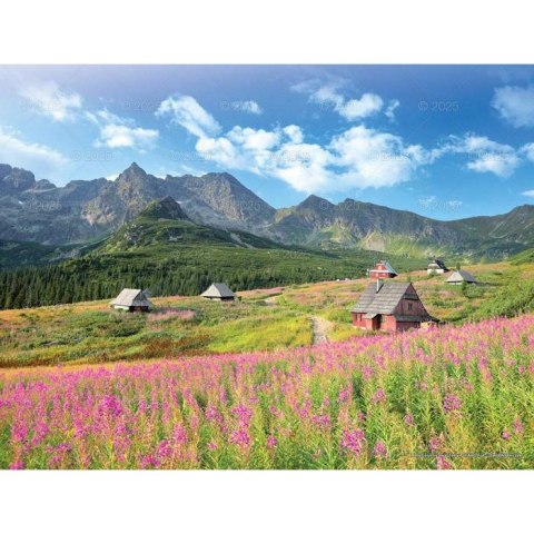 Kalendarz ścienny PEJZAŻE TATRZAŃSKIE WIELOPLANSZOWY 12K 320mm x 470mm Lucrum (RW3)