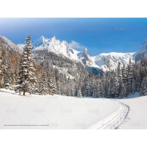 Kalendarz ścienny PEJZAŻE TATRZAŃSKIE WIELOPLANSZOWY 12K 320mm x 470mm Lucrum (RW3)